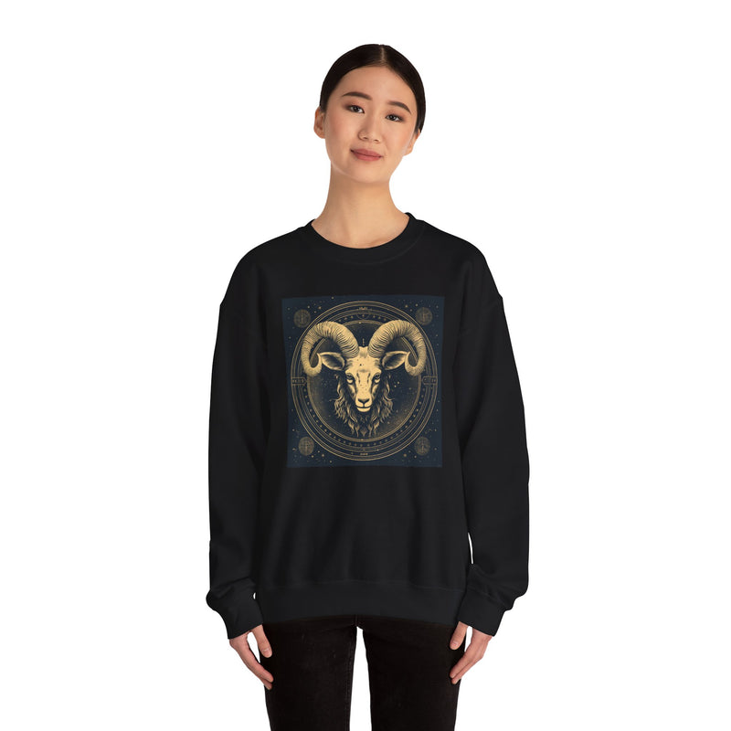 Aries Blaze Crewneck Sweatshirt Black White