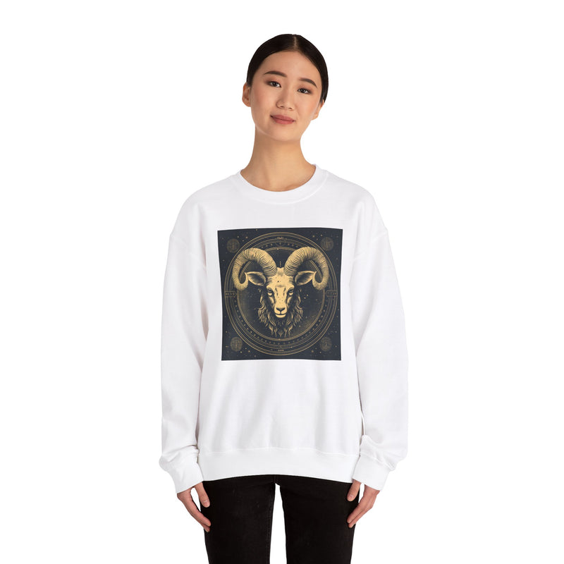 Aries Blaze Crewneck Sweatshirt Black White