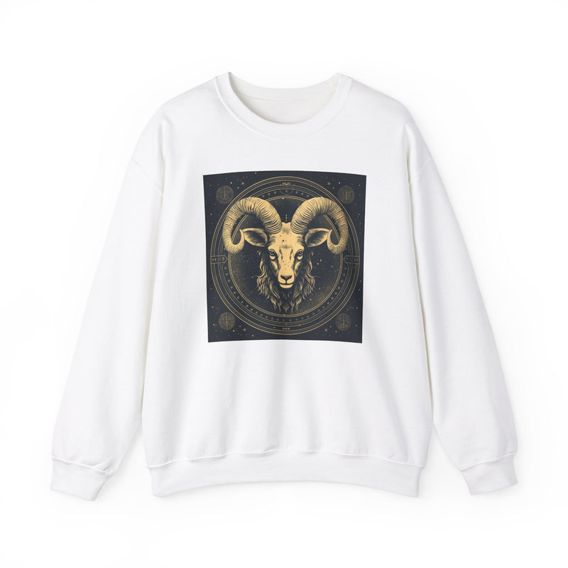 Aries Blaze Crewneck Sweatshirt Black White